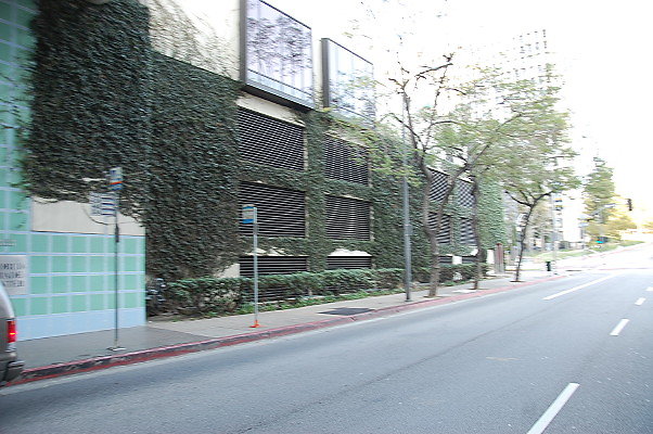 DSC 0021
