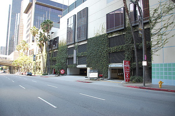 DSC 0020