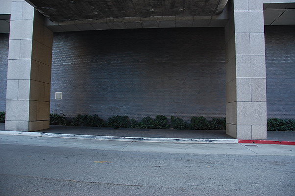 DSC 0012