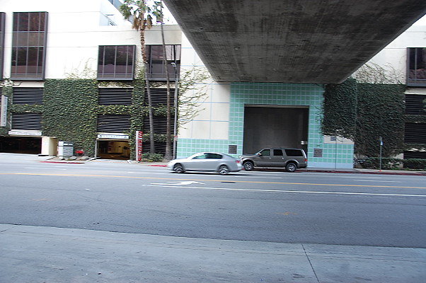 DSC 0019
