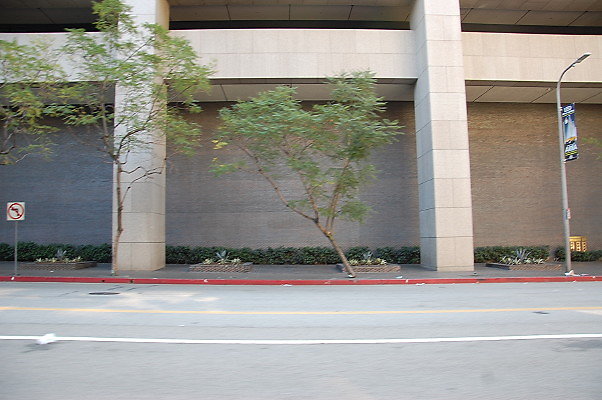 DSC 0022