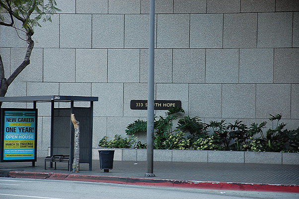 DSC 0007