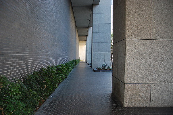 DSC 0015