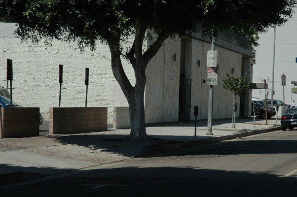 DSC 0060