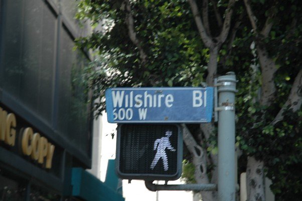 DSC 0181
