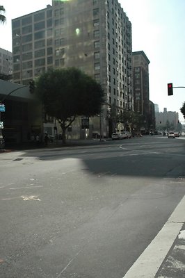 DSC 0395