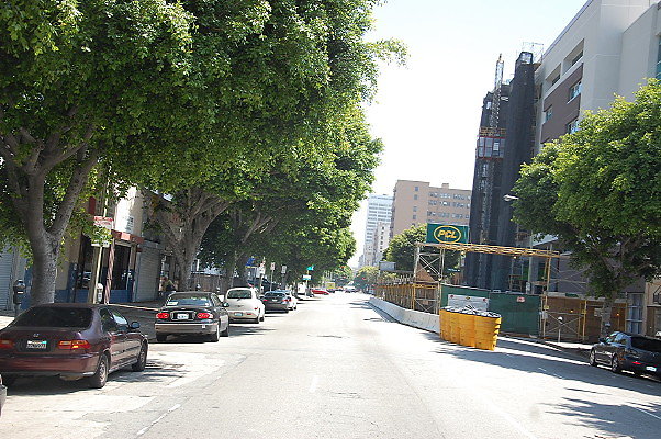 DSC 0100
