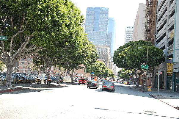 DSC 0108
