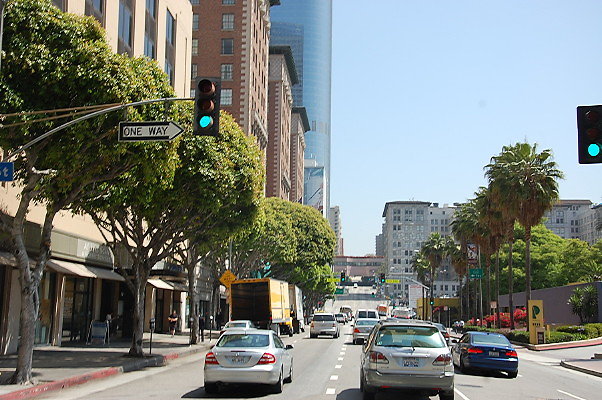 DSC 0118