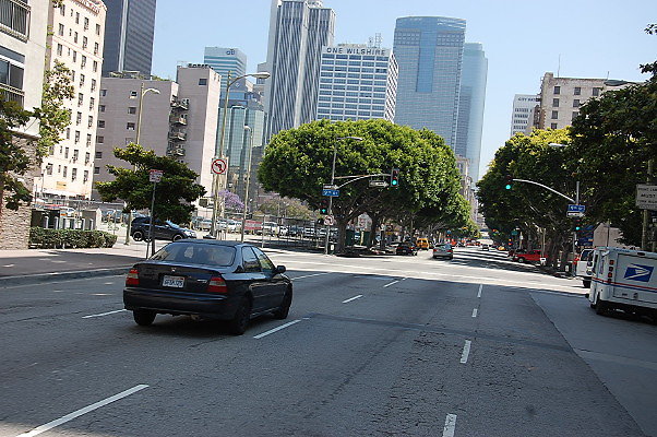 DSC 0105