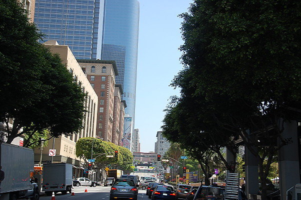 DSC 0117