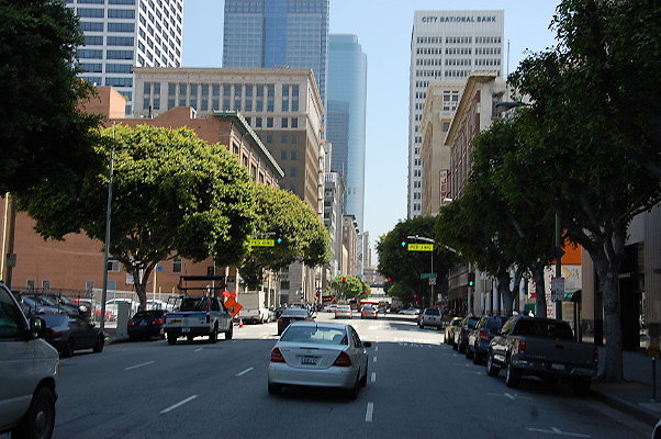 DSC 0111
