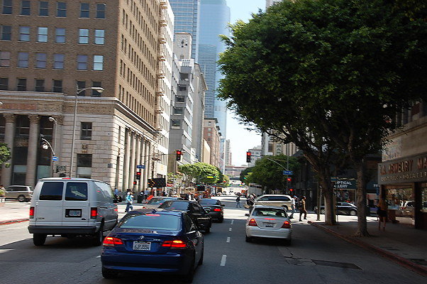 DSC 0113