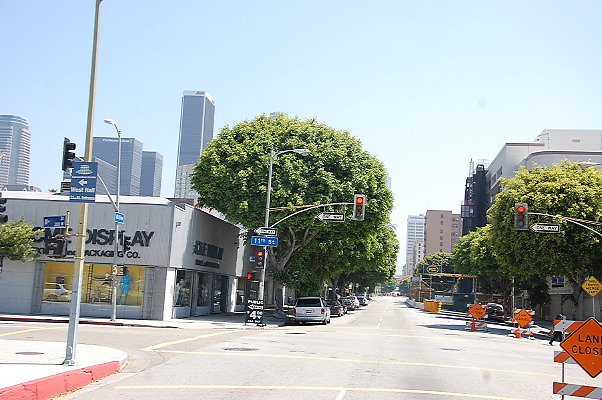 DSC 0097