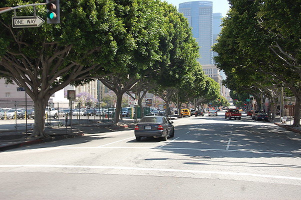 DSC 0106