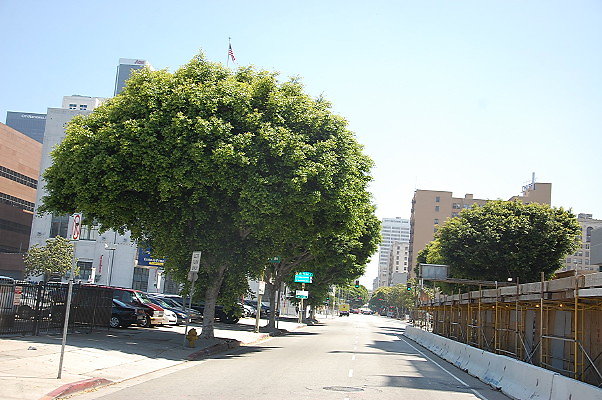 DSC 0101