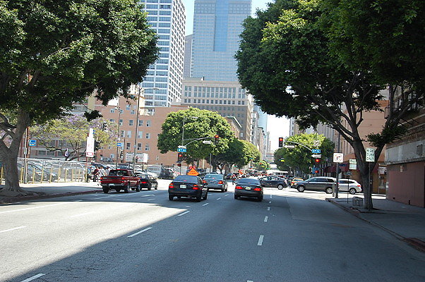 DSC 0109