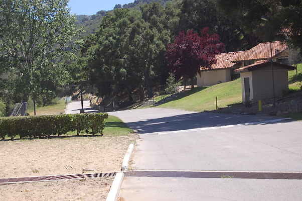 DSC 0032