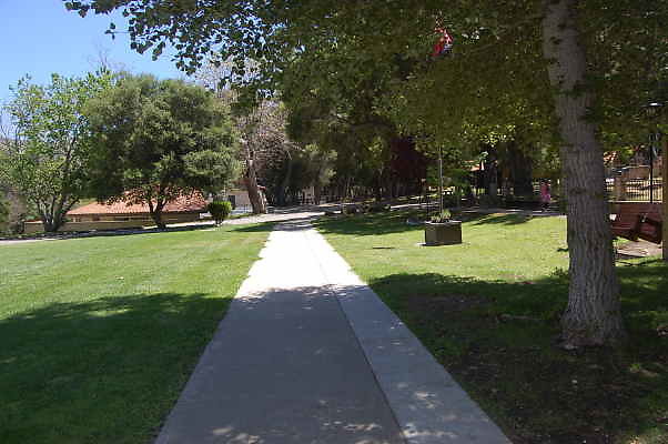 DSC 0063