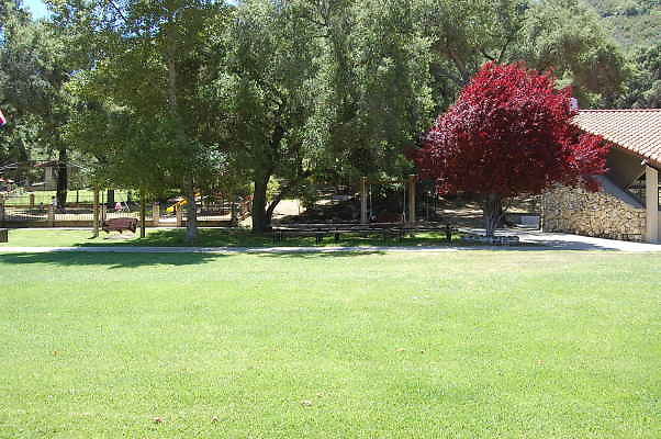 DSC 0058