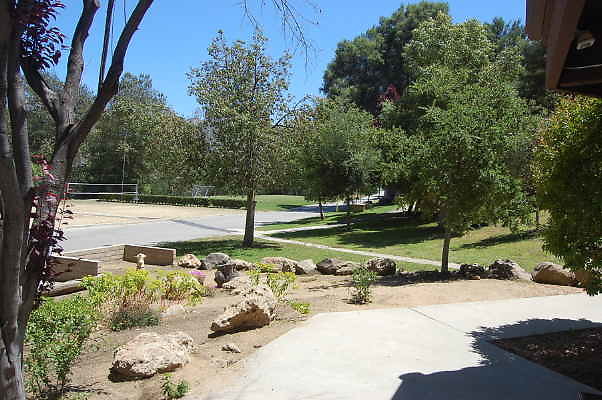 DSC 0020
