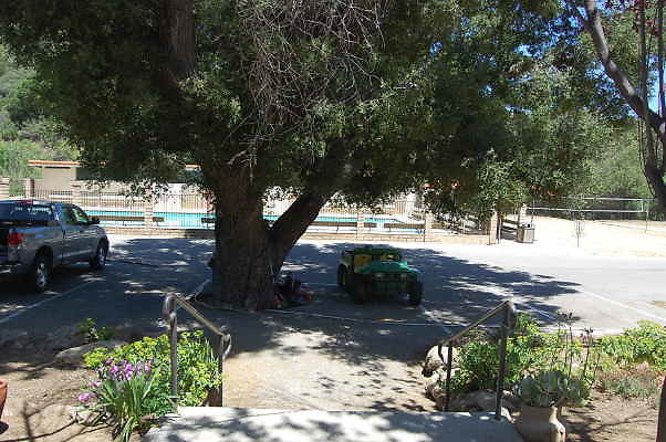 DSC 0019
