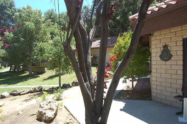 DSC 0015