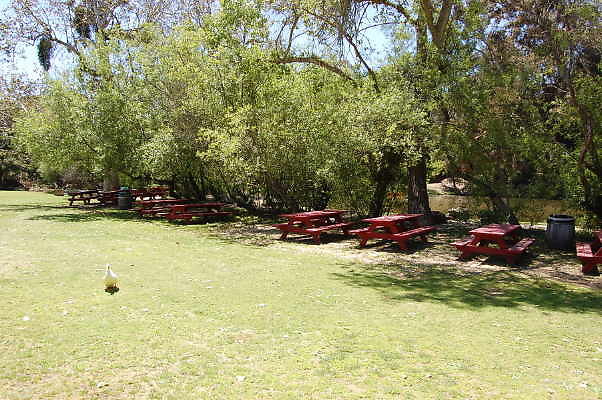 DSC 0464