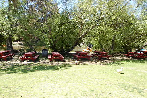 DSC 0465