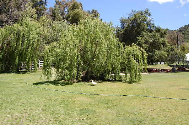 DSC 0461