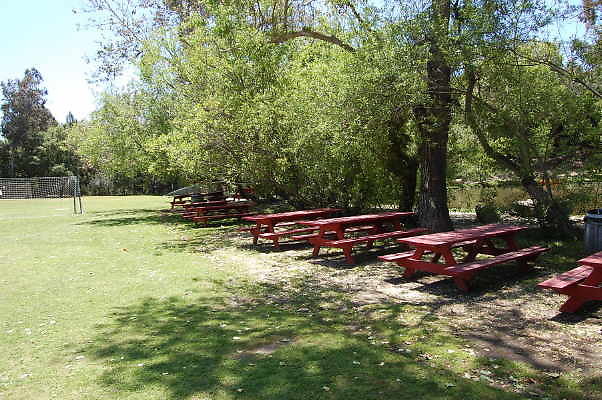 DSC 0466