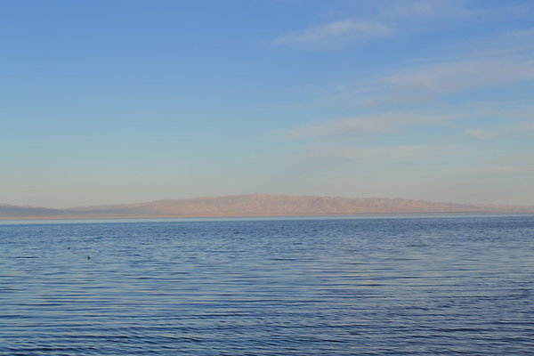 Salton.Sea.23