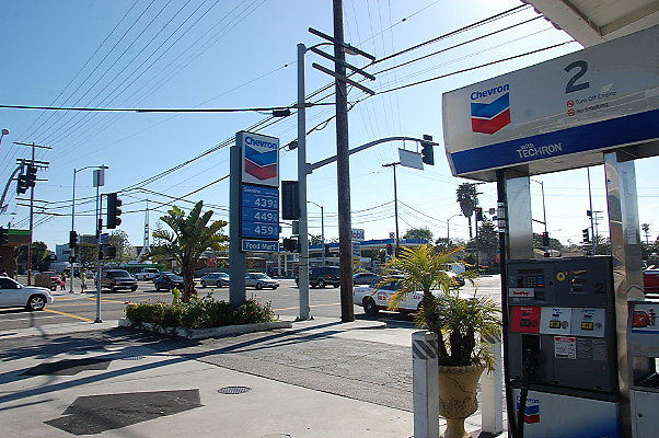 DSC 0229