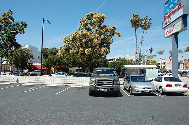 DSC 0153