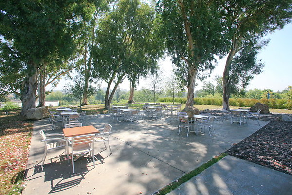 729D Rear Patio 0008 1