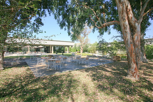 729D Rear Patio 0009 1