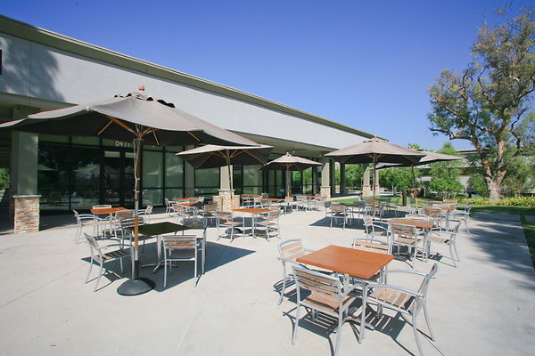729D Rear Patio 0019 1