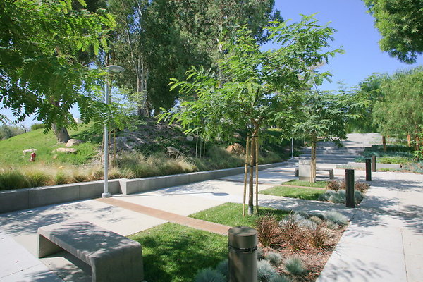 729D Walkway 0001 1