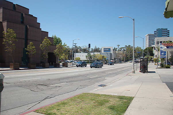 DSC 0010