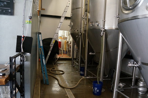 Strand.Brewery20