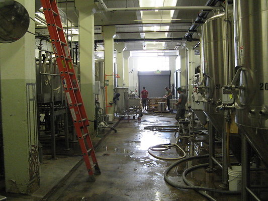Brewiers 016