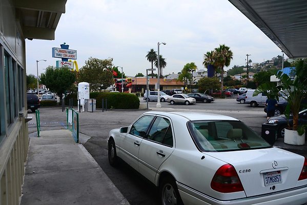 DSC 3920