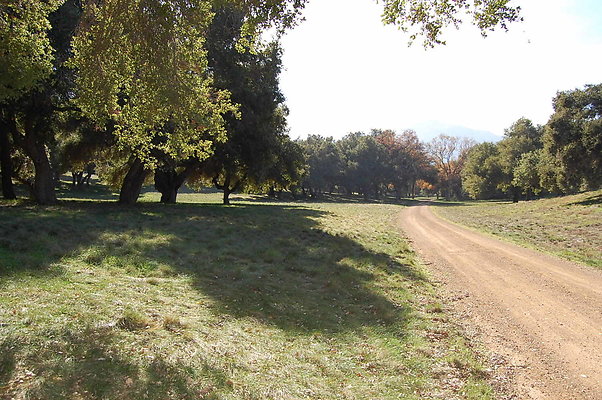DSC 0284