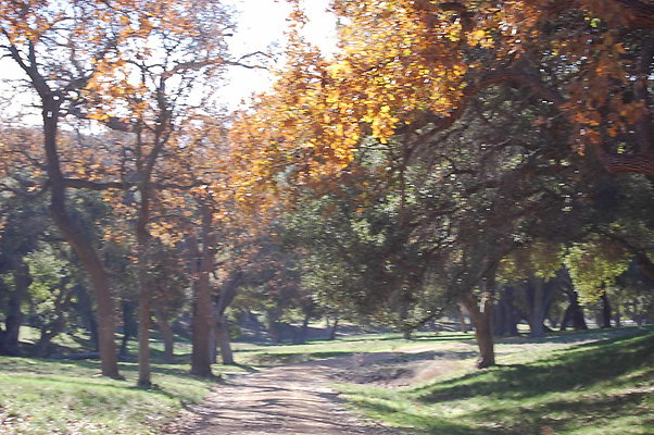 DSC 0292