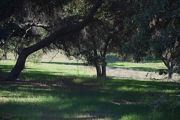 DSC 0243