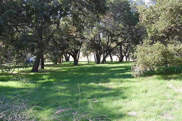 DSC 0235