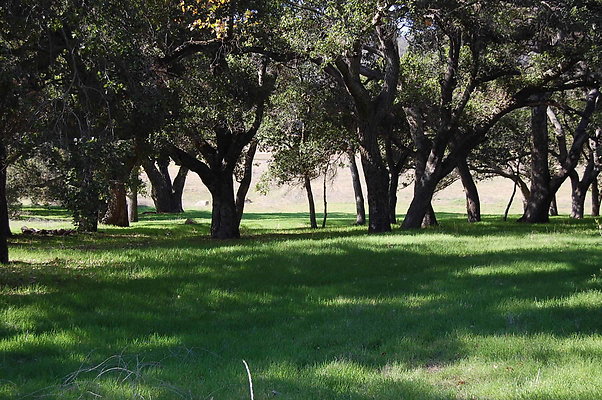 Green Areas behind Thorton Ranch.Ventura farms