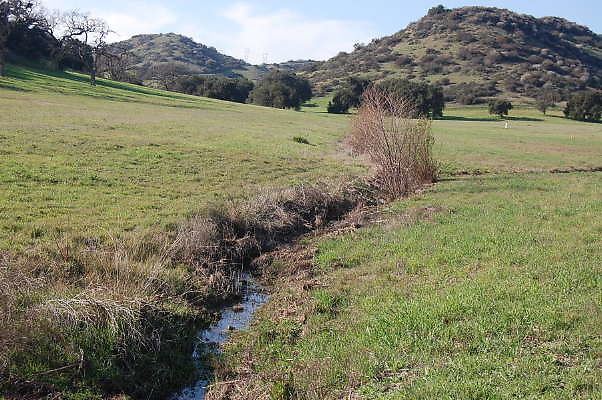 Ventura Farms.Ditch.Streams