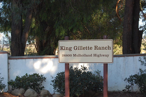 KIng Gillette Tree Area