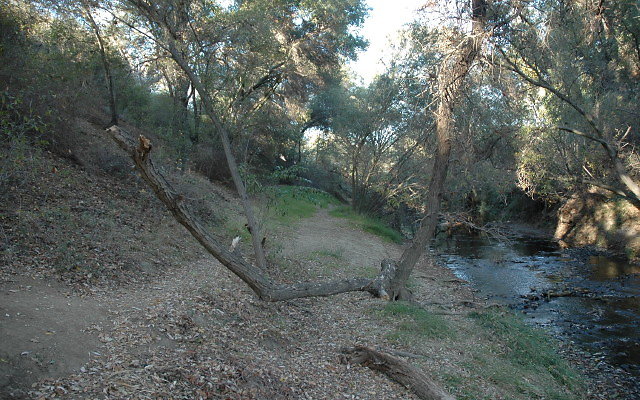Crag Creek Trail